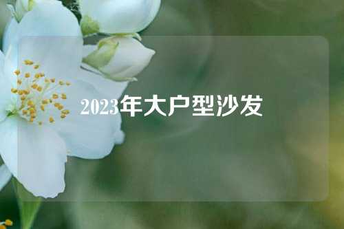 2023年大户型沙发